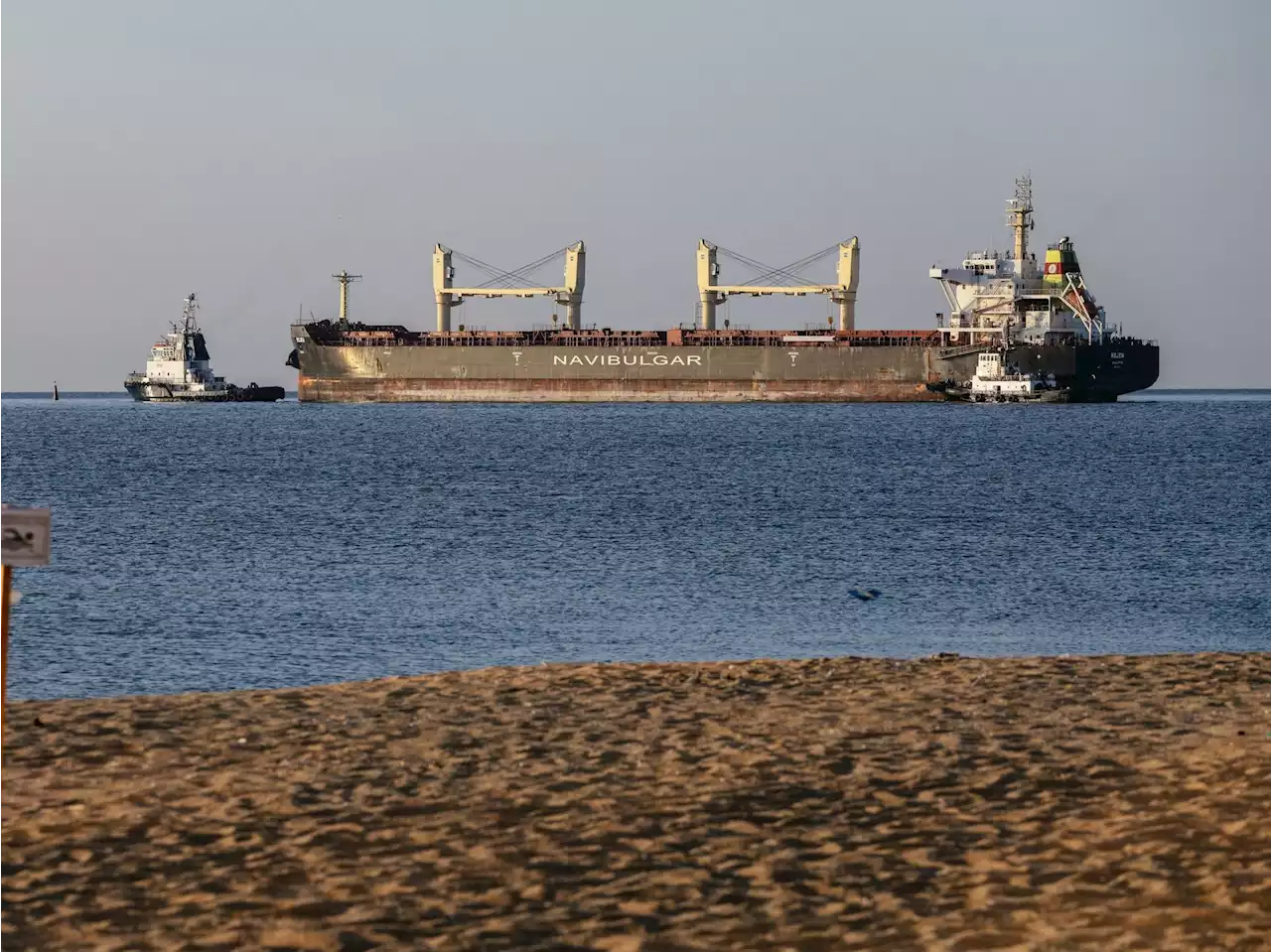 Three more ships with grain depart Ukraine under UN deal