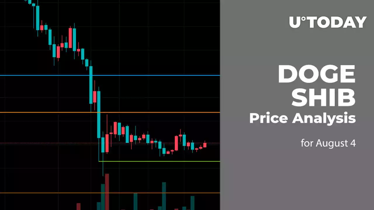 DOGE and SHIB Price Analysis for August 4