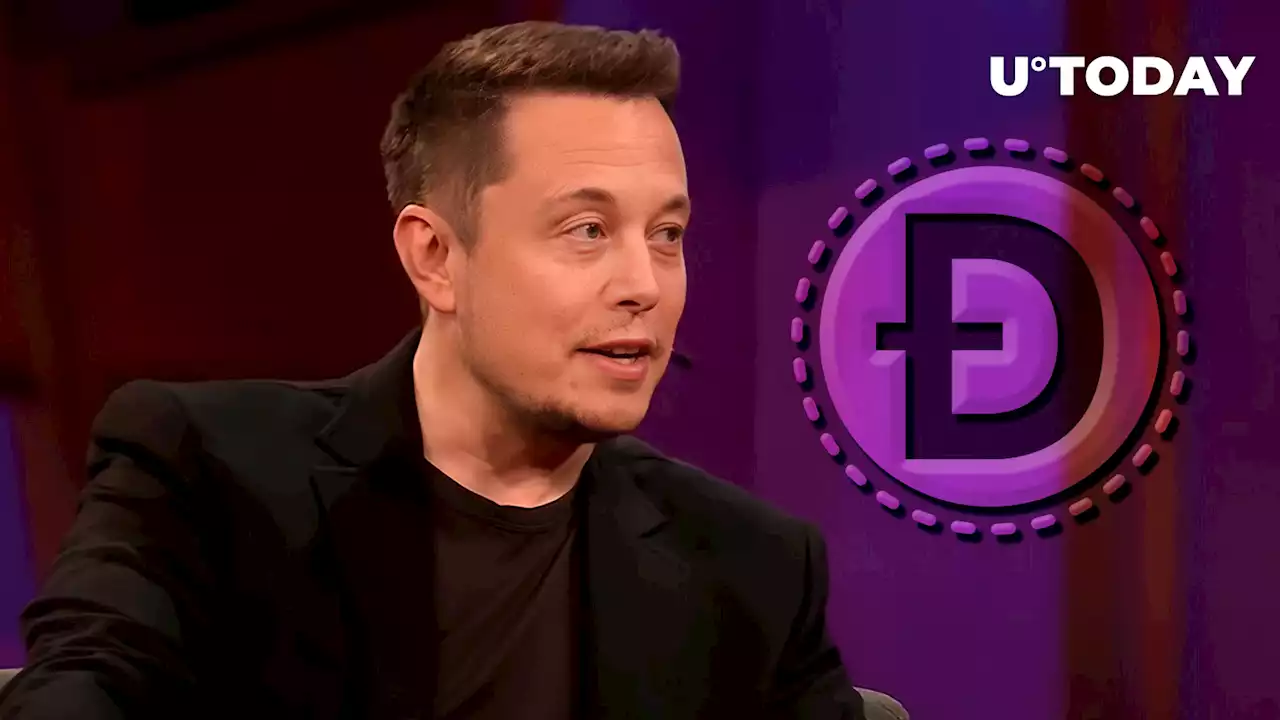 Elon Musk Says He Is 'Mainly' Supporting Dogecoin