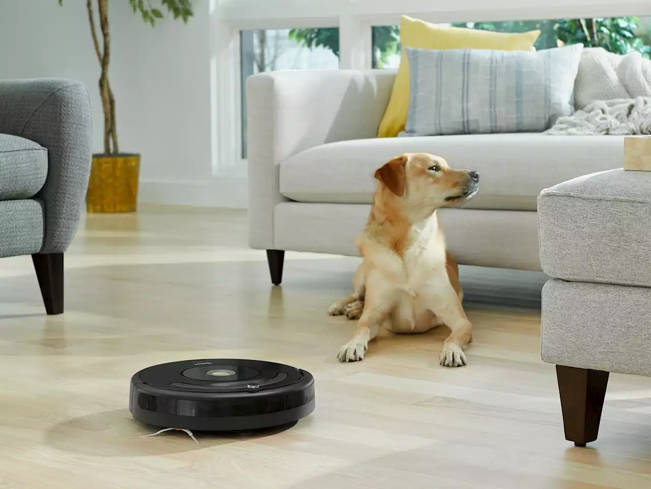 Amazon to buy vacuum maker iRobot for $1.66B