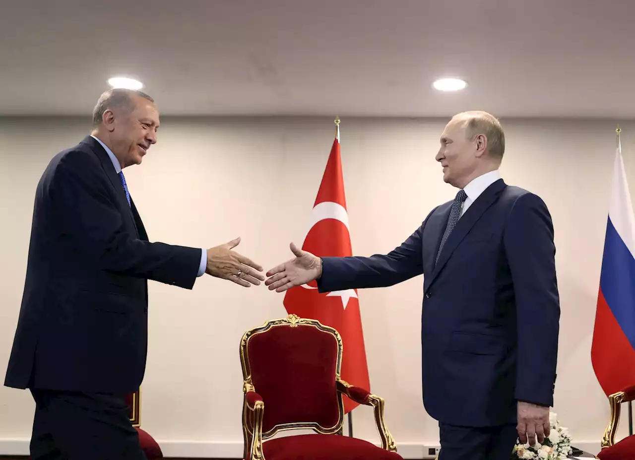 Russia turns to Turkey, other trading partners to blunt sanctions’ impact