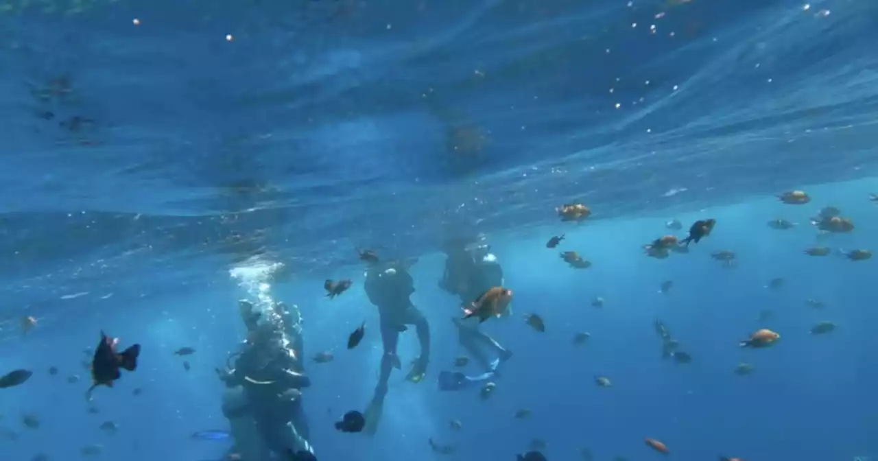 Veterans finding peace under the sea