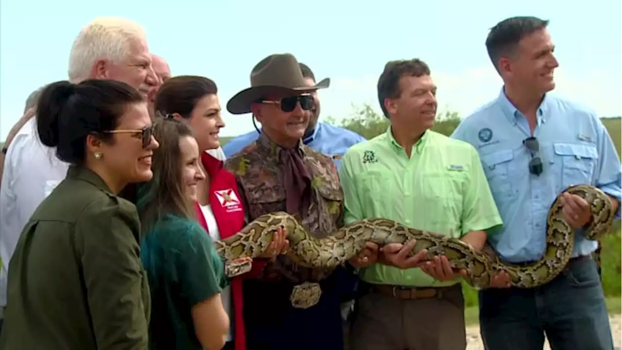 First Lady kicks off Burmese python hunt in Florida Everglades