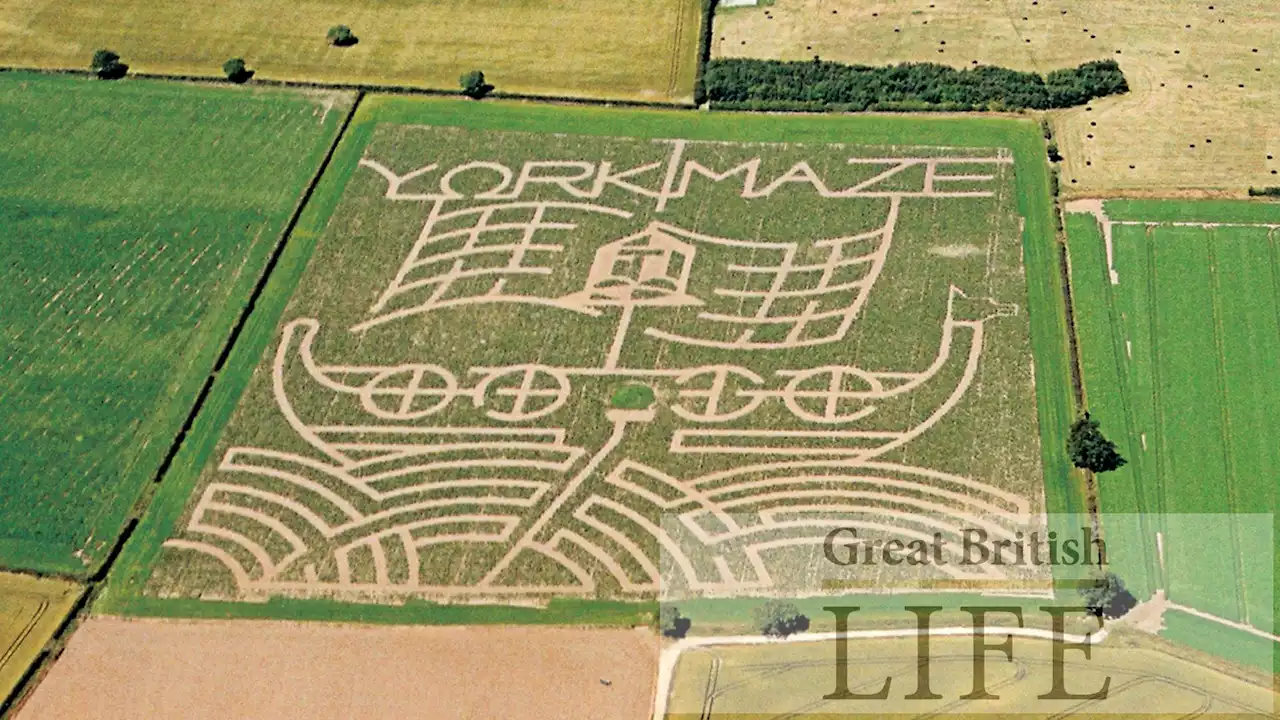 York Maze marks 20th year anniversary