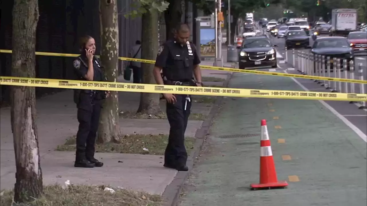 Woman shot in back near Bronx Zoo