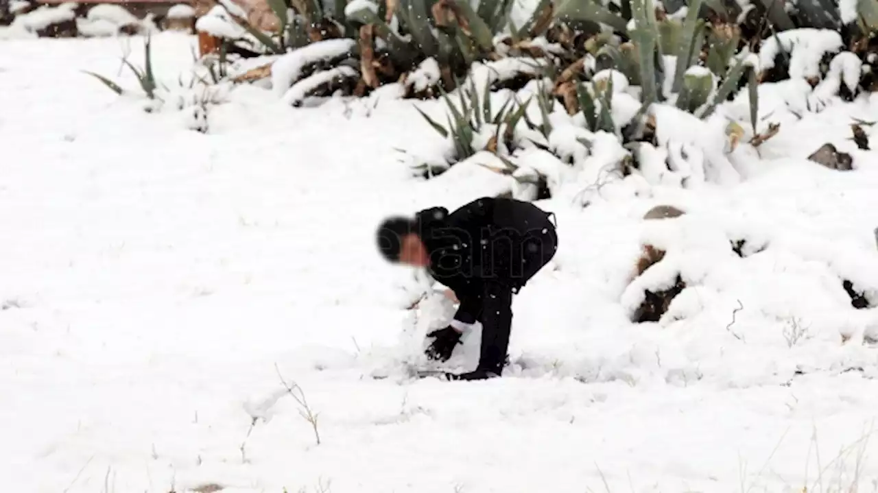 Tormentas en Misiones, vientos en el noroeste y nevadas en Mendoza y Neuquén