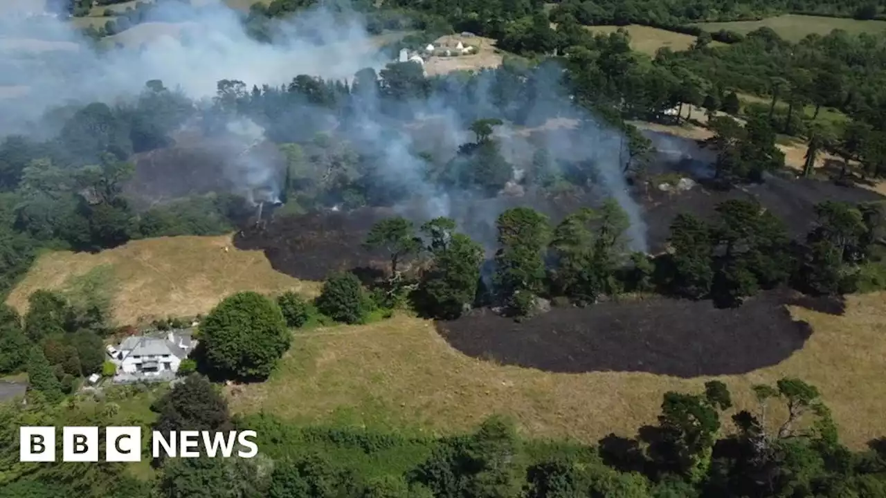 Wildfire breaks out in Truro, Cornwall