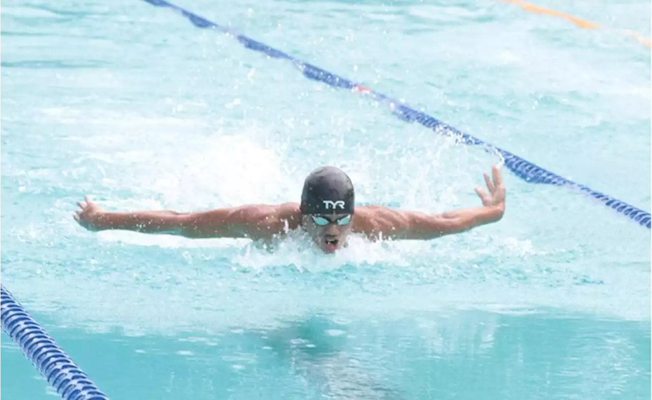 Swimmers keep scooping golds | BusinessMirror