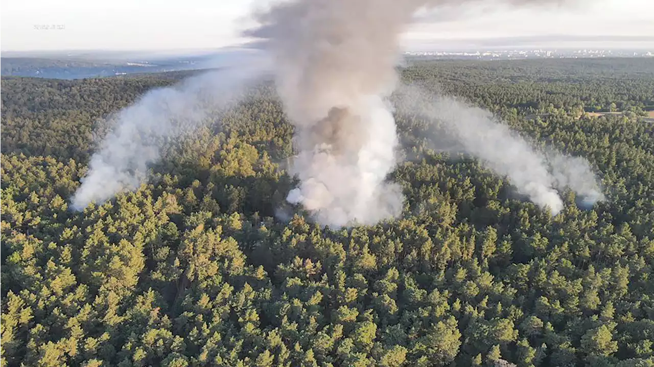 Feuerwehr: Weiterhin „enorme Gefahr“ auf Sprengplatz im Grunewald