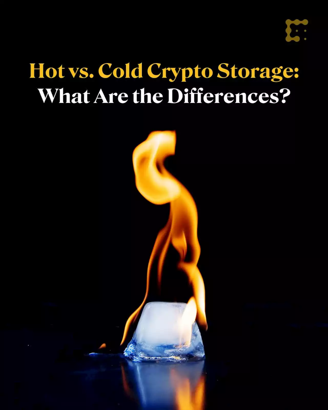 Hot vs. Cold Crypto Storage: What Are the Differences?