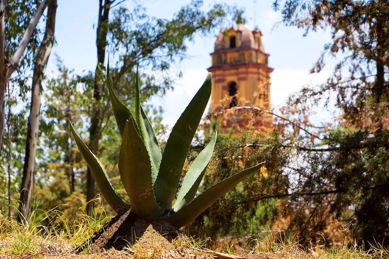 Cuál es el Pueblo Mágico más pequeño de México