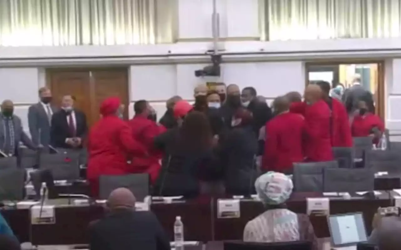 EFF rejects probe findings into claims of GBV against Parly protection services