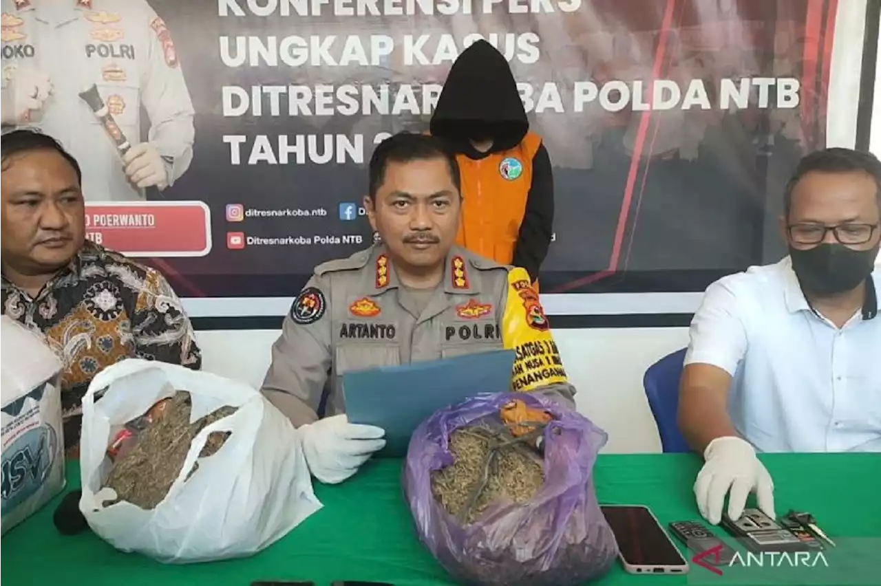 Kuasai 1,7 Kilogram Ganja Pasutri di Lombok Timur Dibui