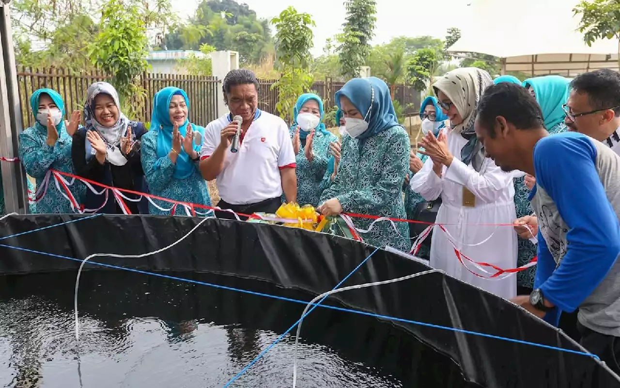 Pemprov Banten Bakal Menggalakkan Tanam Pohon Kelor & Tebar Ikan