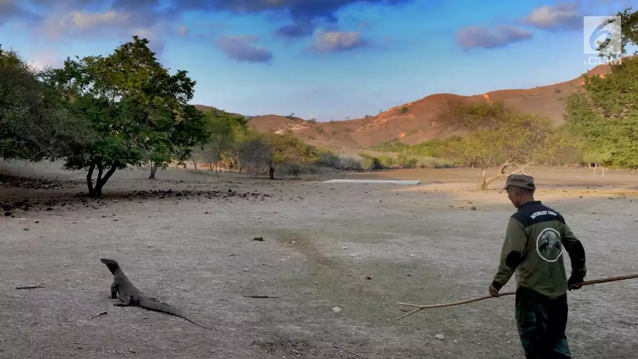 Tarif Baru Pulau Komodo Kurang Kajian Konsumen