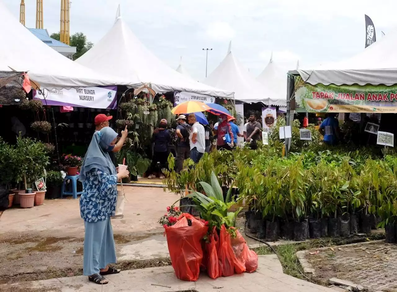 Maha 2022: Laman Nanas awaits those interested in pineapple cultivation