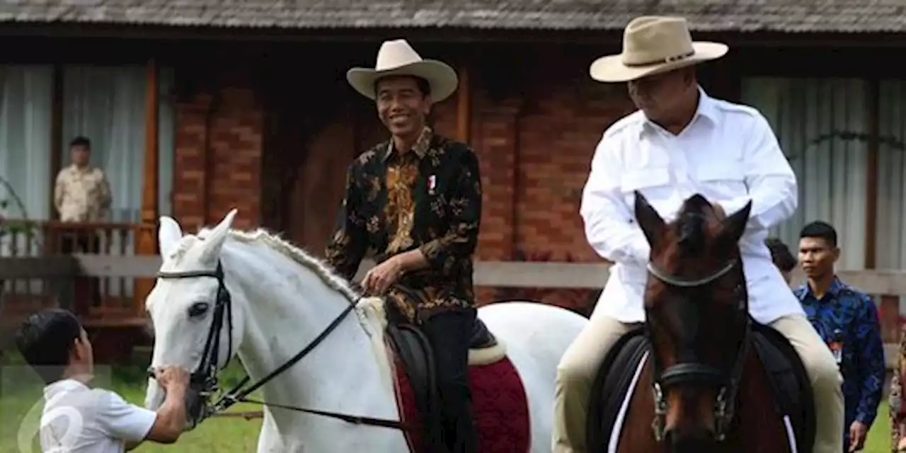 Bocoran Curhat Prabowo pada Luhut soal Jokowi | merdeka.com