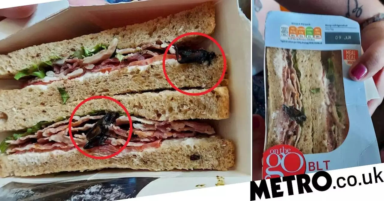 Mum scared of packaged food after finding two beetles in Sainsbury’s sandwich