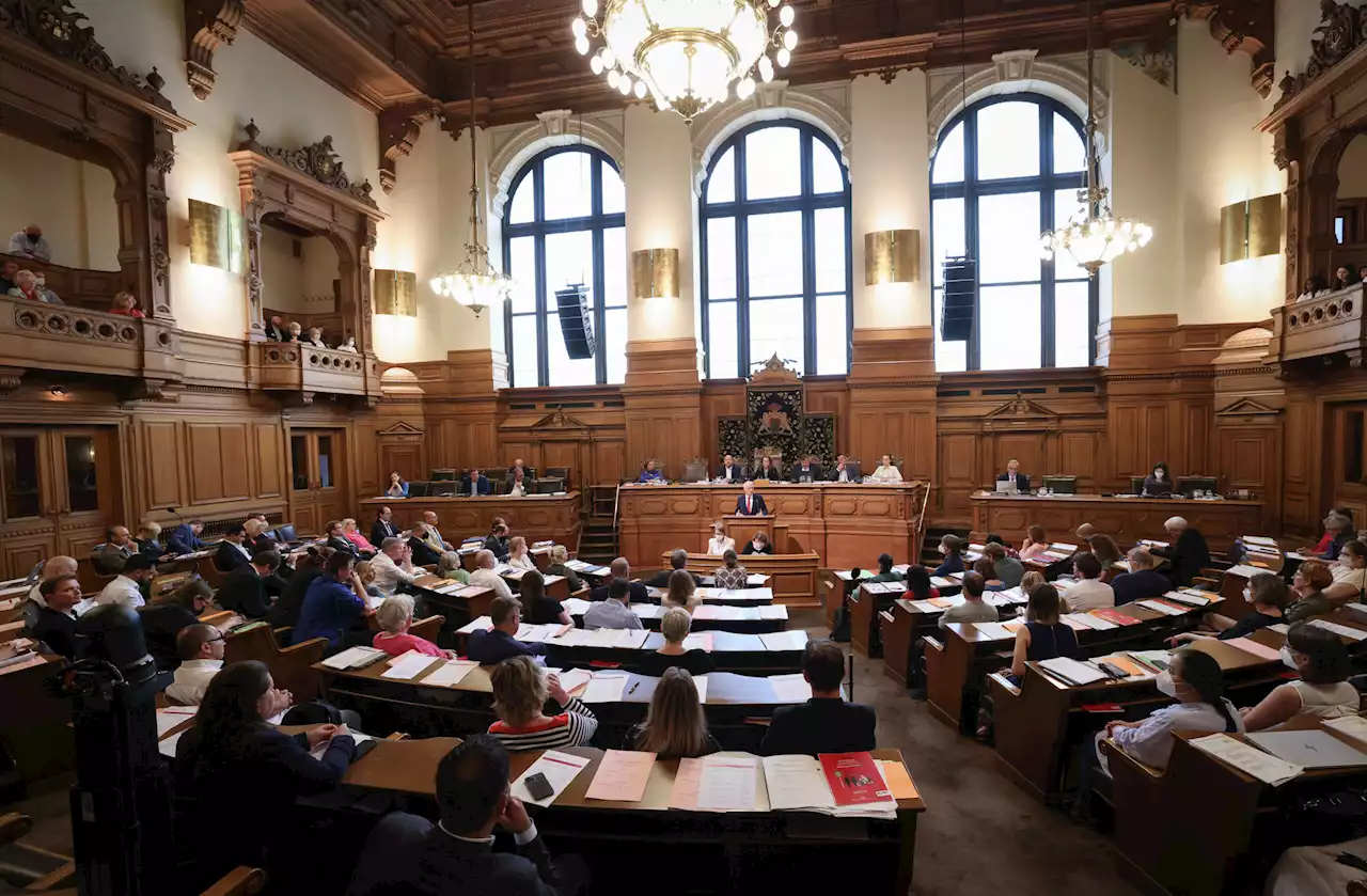 Bürgerschaft: Welche Partei die meisten Anfragen an Hamburgs Senat stellt