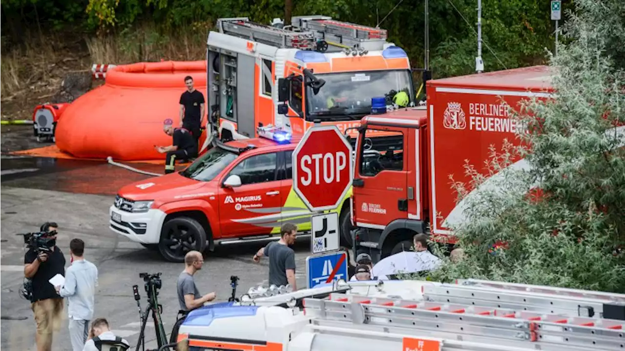 Feuer im Berliner Grunewald - die Bilder