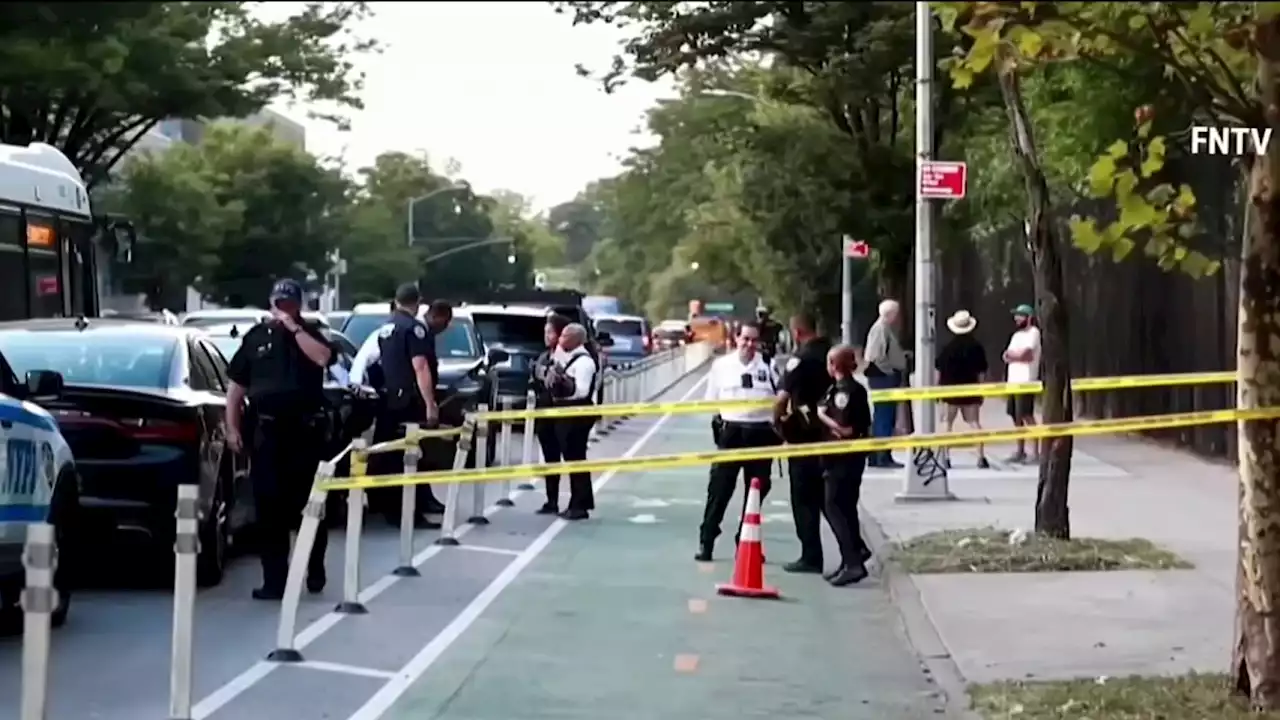 Bystander Shot in Back on Sidewalk Outside Bronx Zoo: Police