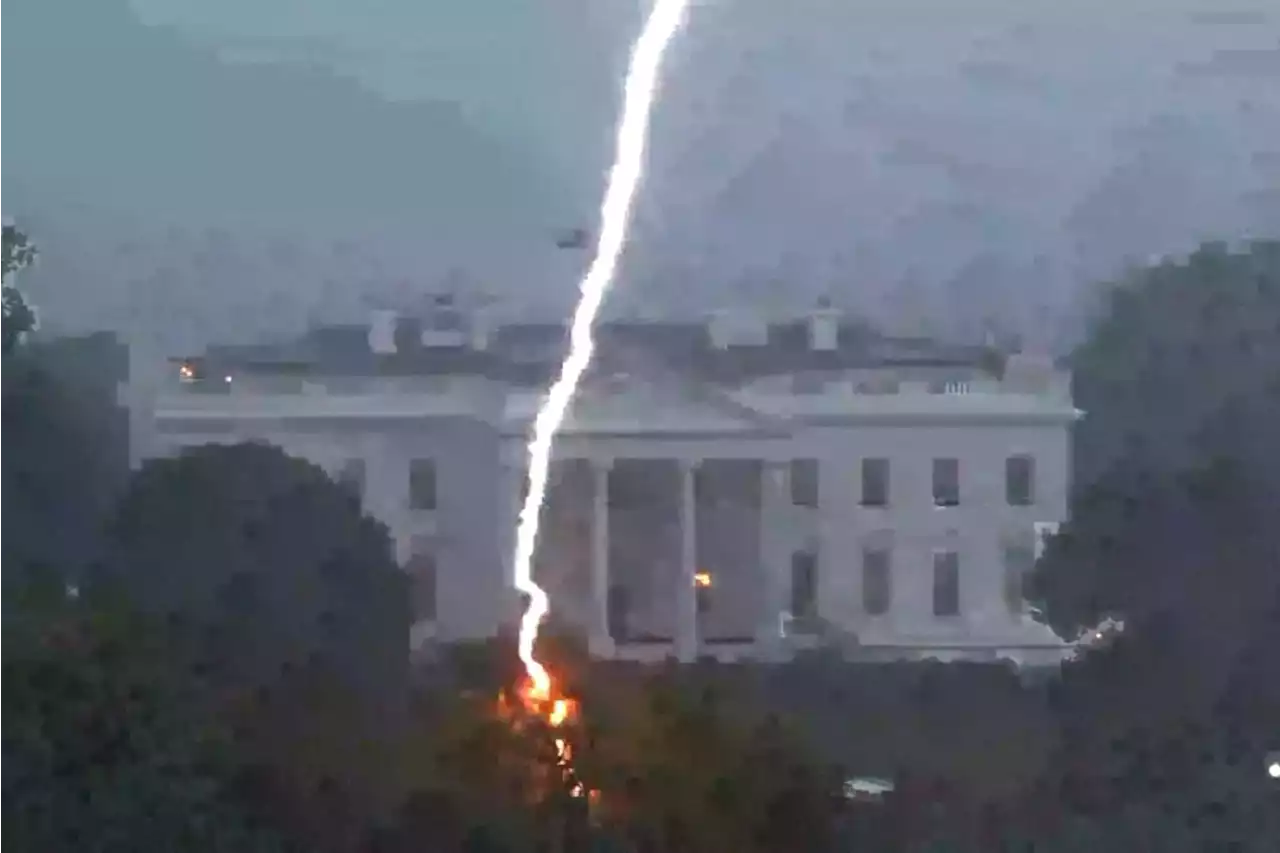 Lightning strike near White House leaves 3 dead, 1 injured