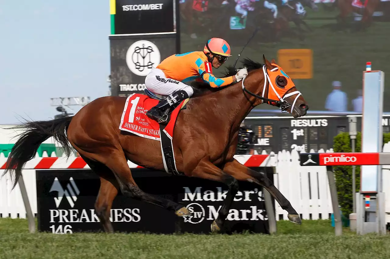 Whitney Stakes Day: Picks for all 12 races