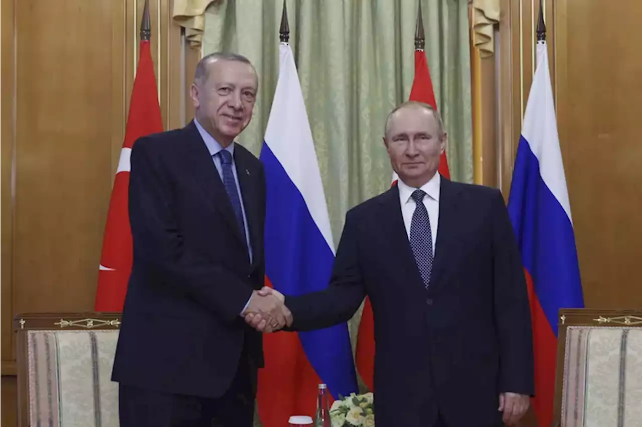 Putin hosts Erdogan for talks on trade, Ukraine, Syria