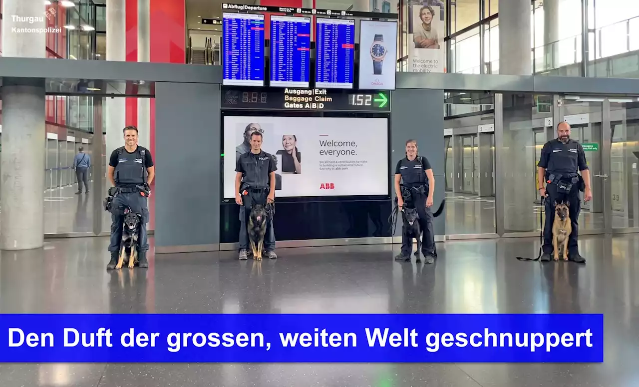 Polizeihunde schnuppern am Flughafen Zürich ZH