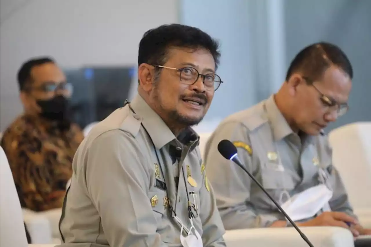 Sektor Pertanian Jadi Andalan Pertumbuhan Ekonomi, Ini Kata Mentan SYL |Republika Online