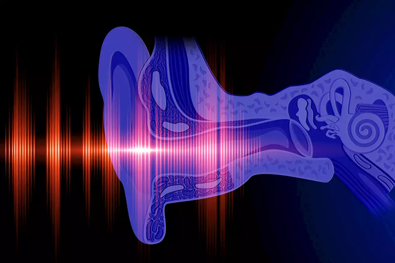 Harvard-Developed Model Can Determine Your Hidden Hearing Loss