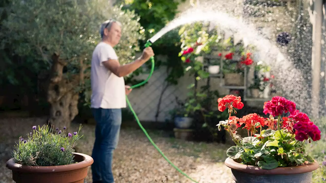 People told to grass on neighbours who flout hosepipe ban