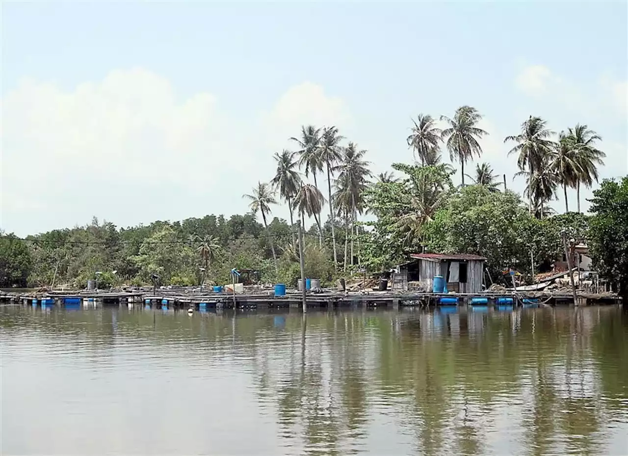 Conserve Setiu Wetlands State Park well, says Ahmad Samsuri