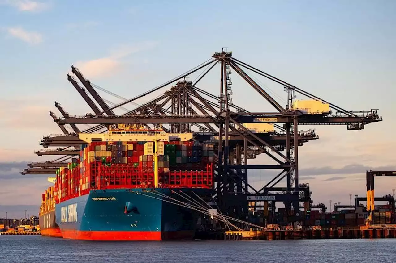 UK's biggest container port Felixstowe to be hit by eight days of strikes