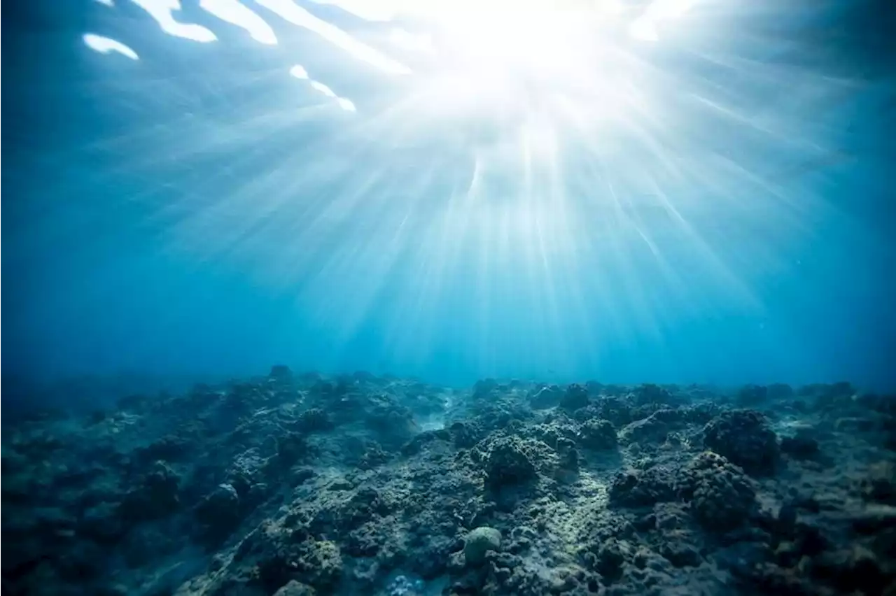 Ocean Mineral Singapore complies with rules for deep sea mining exploration: MTI