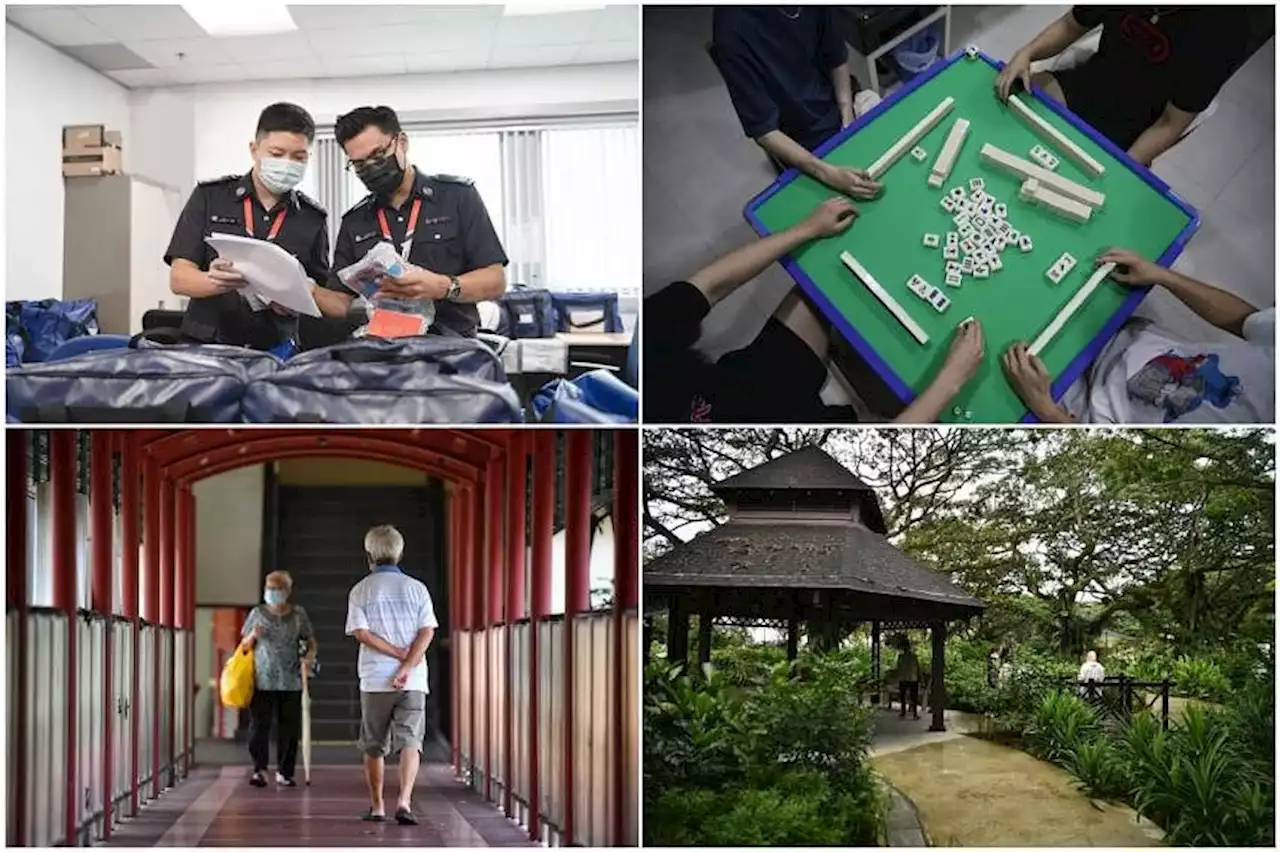 This week's top reads from The Straits Times, Aug 6
