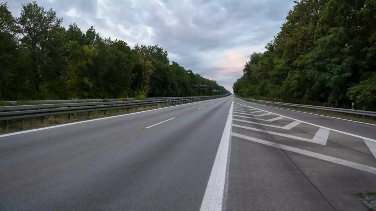 Berlin: Bahn darf trotz Brand im Grunewald wieder fahren