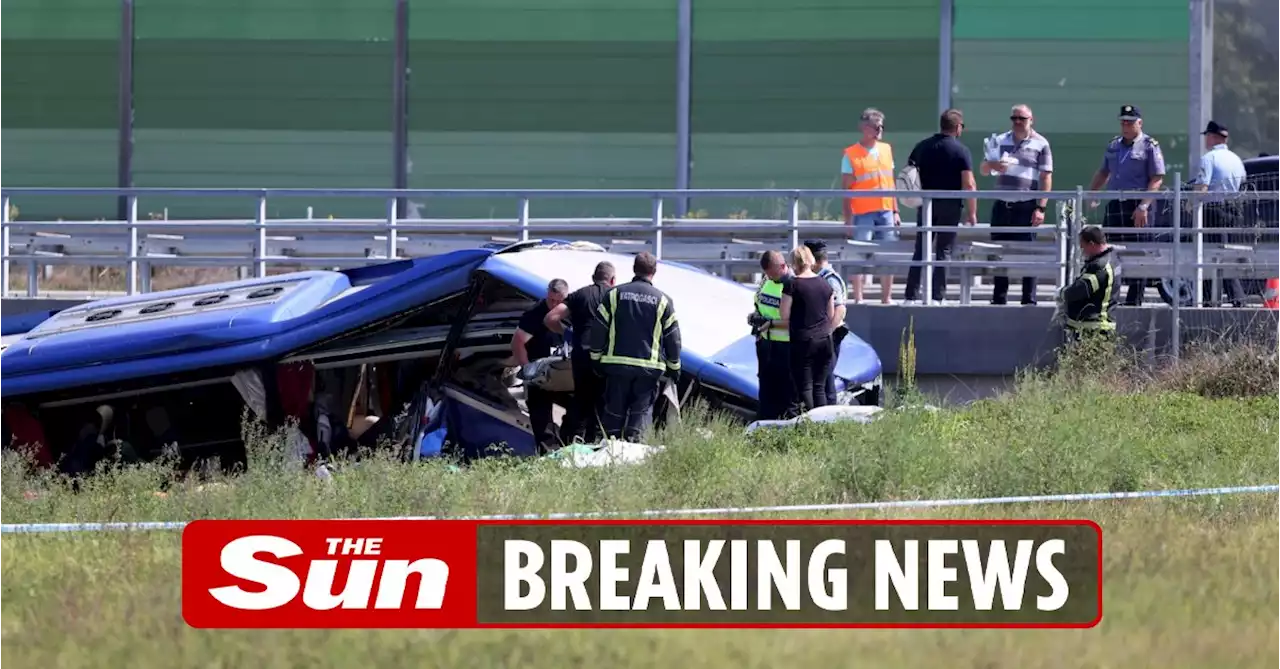 12 tourists killed as bus skids off motorway as driver 'falls asleep at wheel'