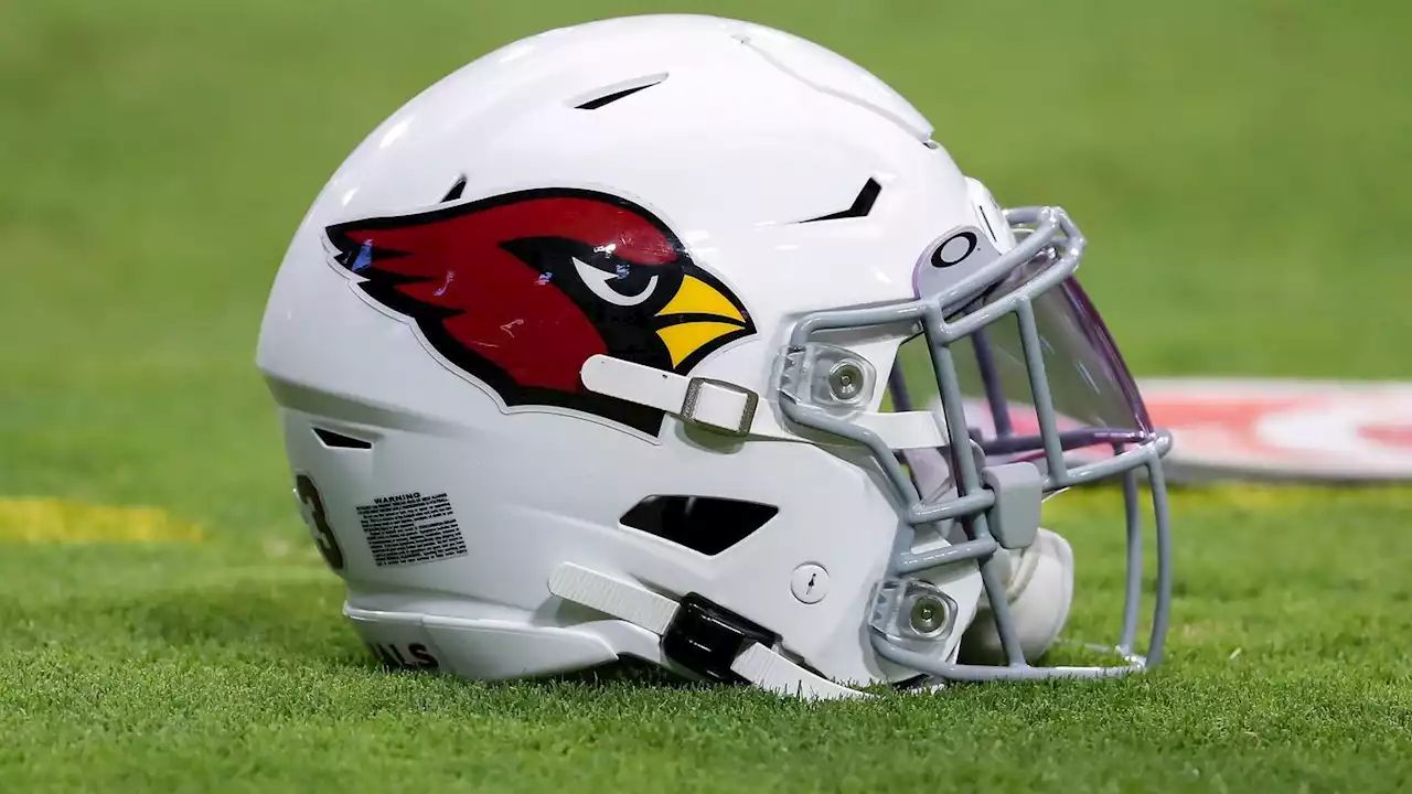 Cardinals running backs coach facing two counts of domestic battery from May incident