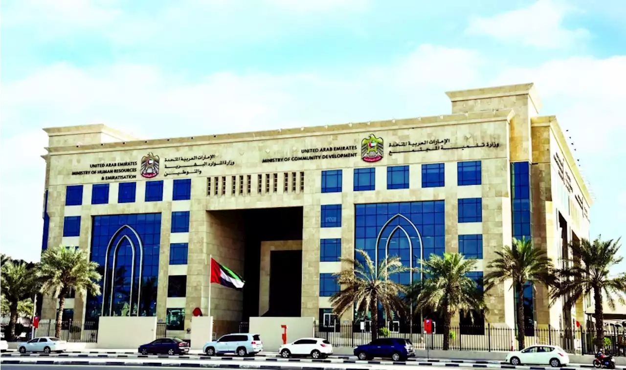47300 أسرة صرفت الدعم الاجتماعي لمحدودي الدخل