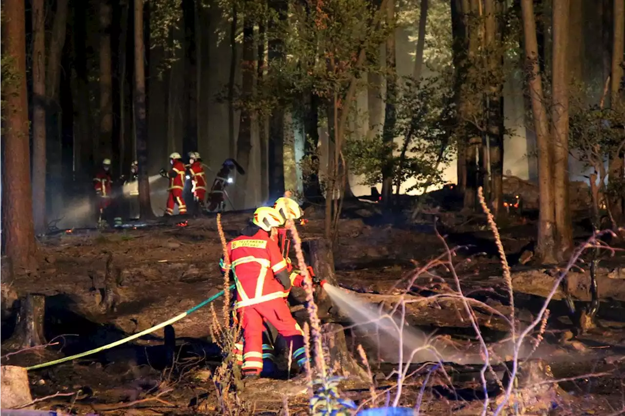 Eschau: Ein Hektar Spessart-Wald stand in Brand