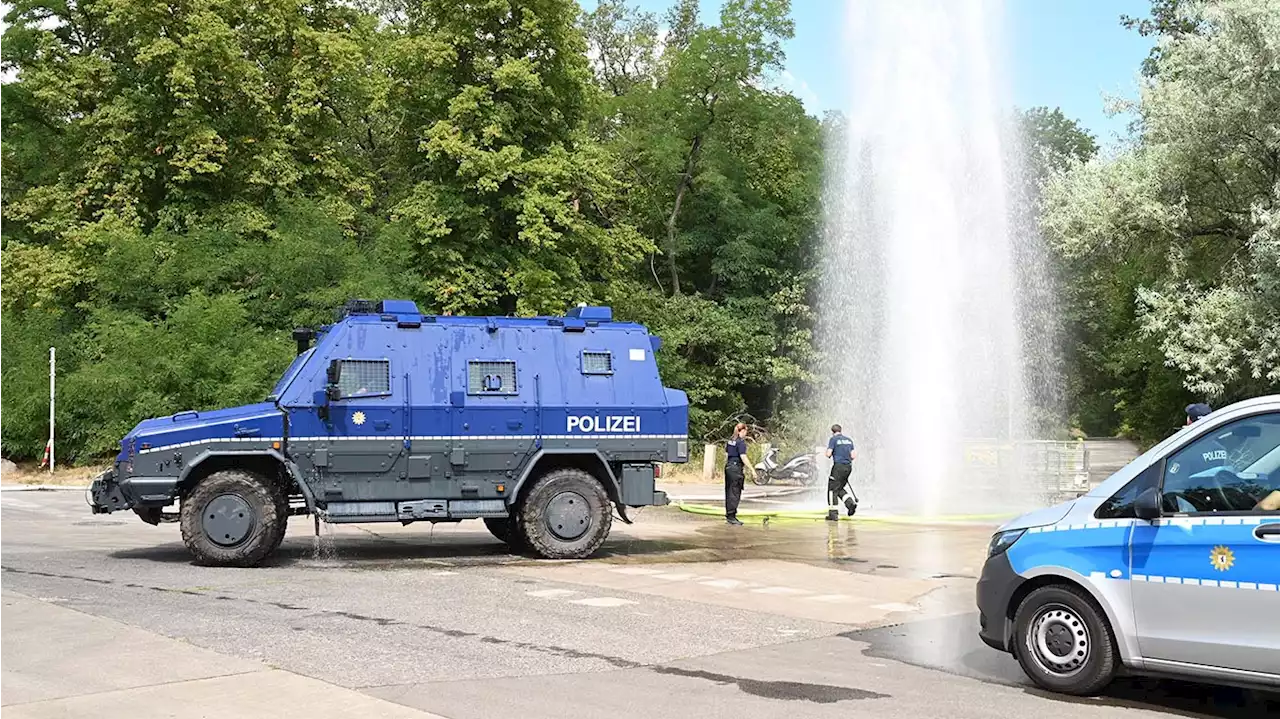 Inferno im Grunewald unter Kontrolle – aber ein blöder Zwischenfall!