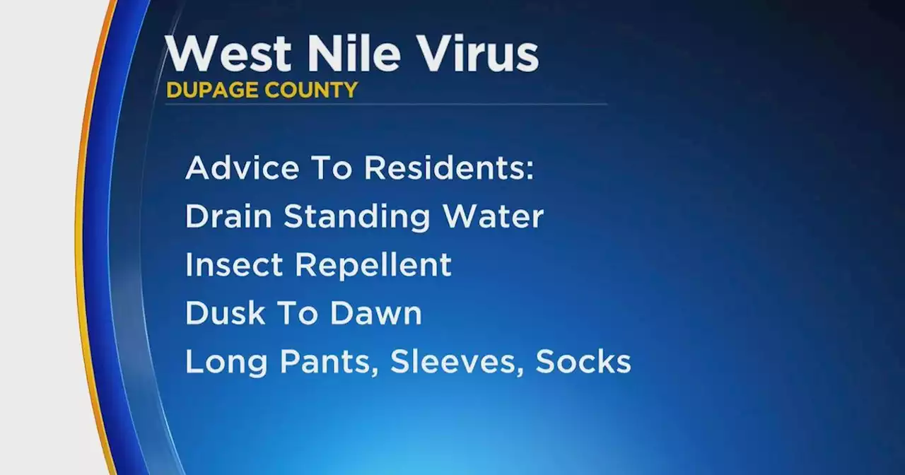 DuPage County sees increase in mosquitoes testing positive for West Nile Virus