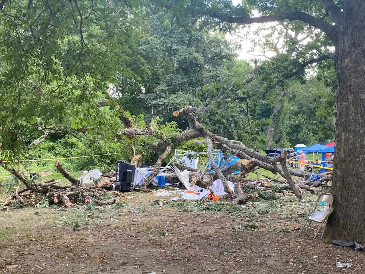 Several People Injured After Tree Falls On Top Of Them In Fairmount Park Near Mann Center In West Philly