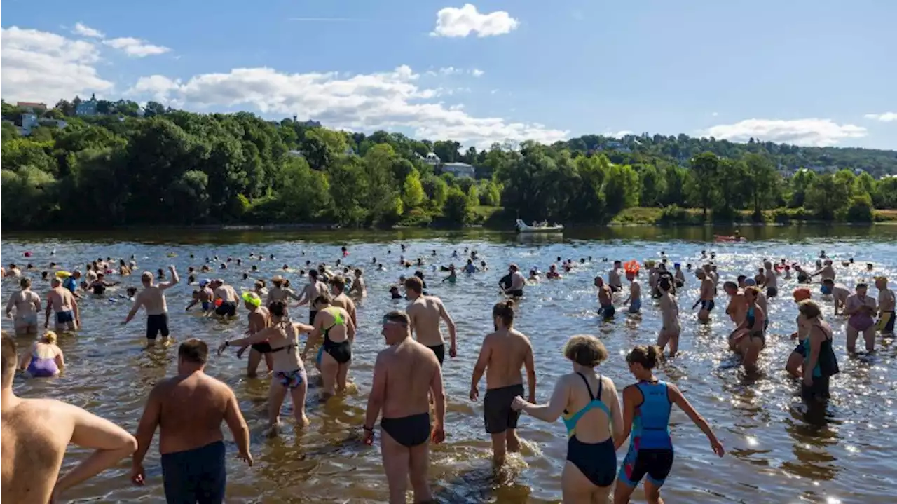 25. Dresdner Elbeschwimmen mit Rekord