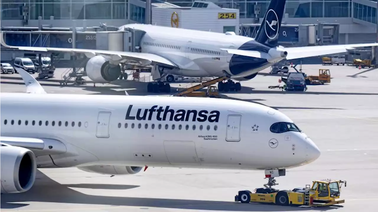 Lufthansa: Das plant die Airline gegen das Flugchaos