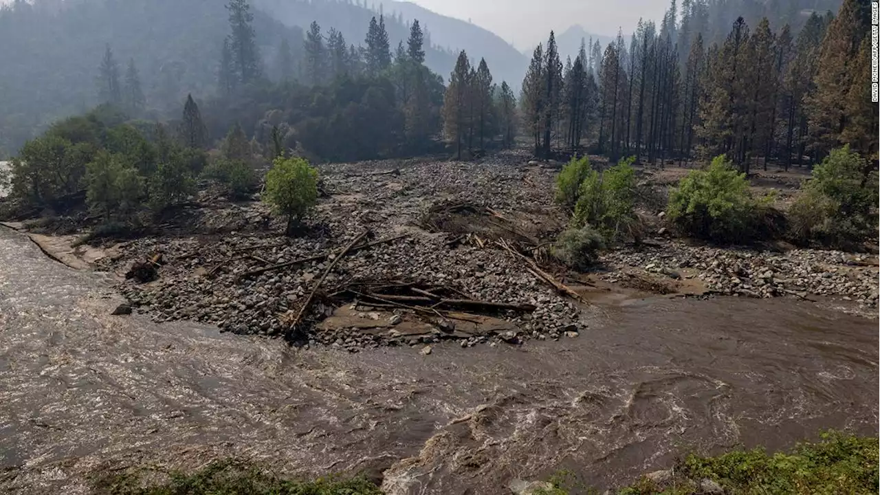 Thousands of dead fish are washing up along a California river. It's because of a massive wildfire and flash floods, the Karuk Tribe says