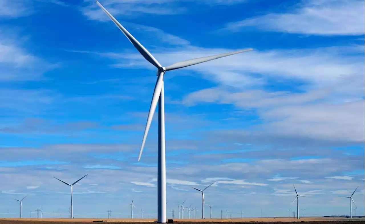 Motley Fool: NextEra Energy is world’s largest producer of solar and wind power