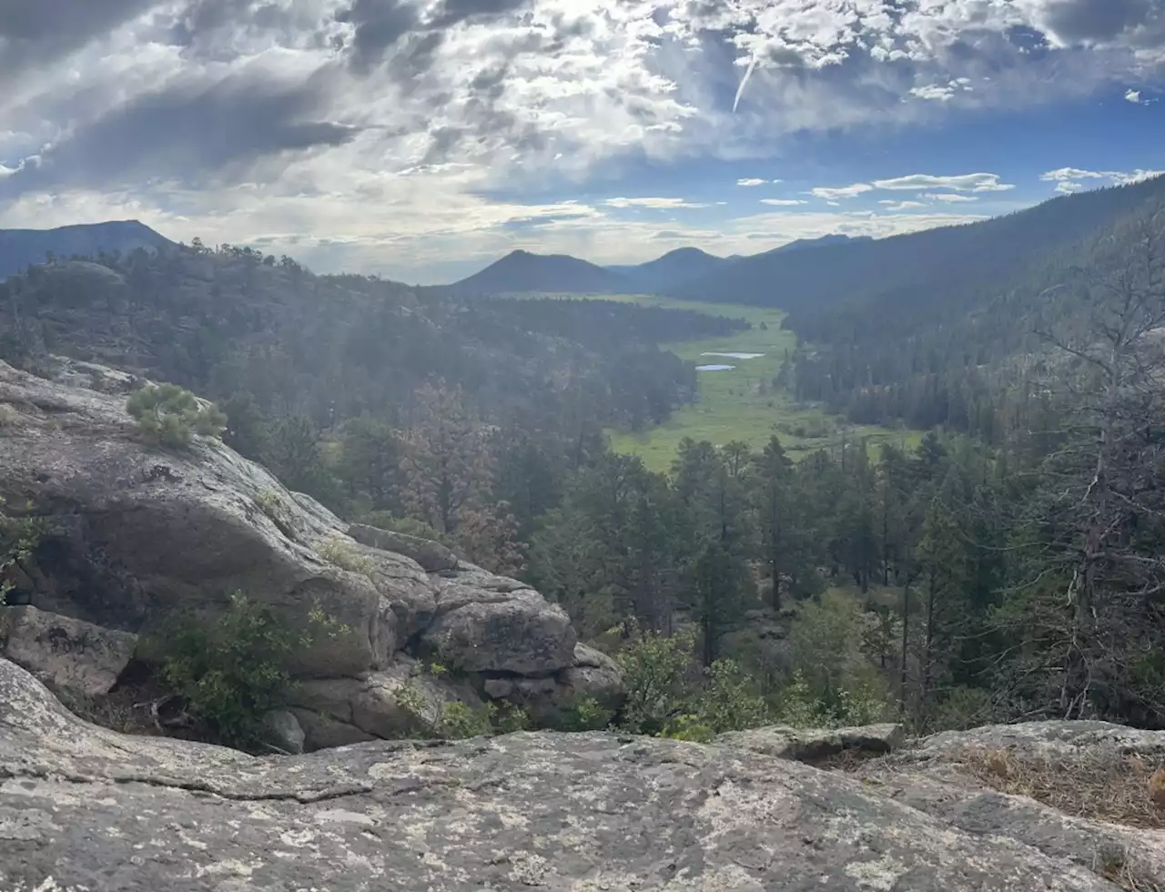 Find meadow and mountain views on this Moraine Park trail