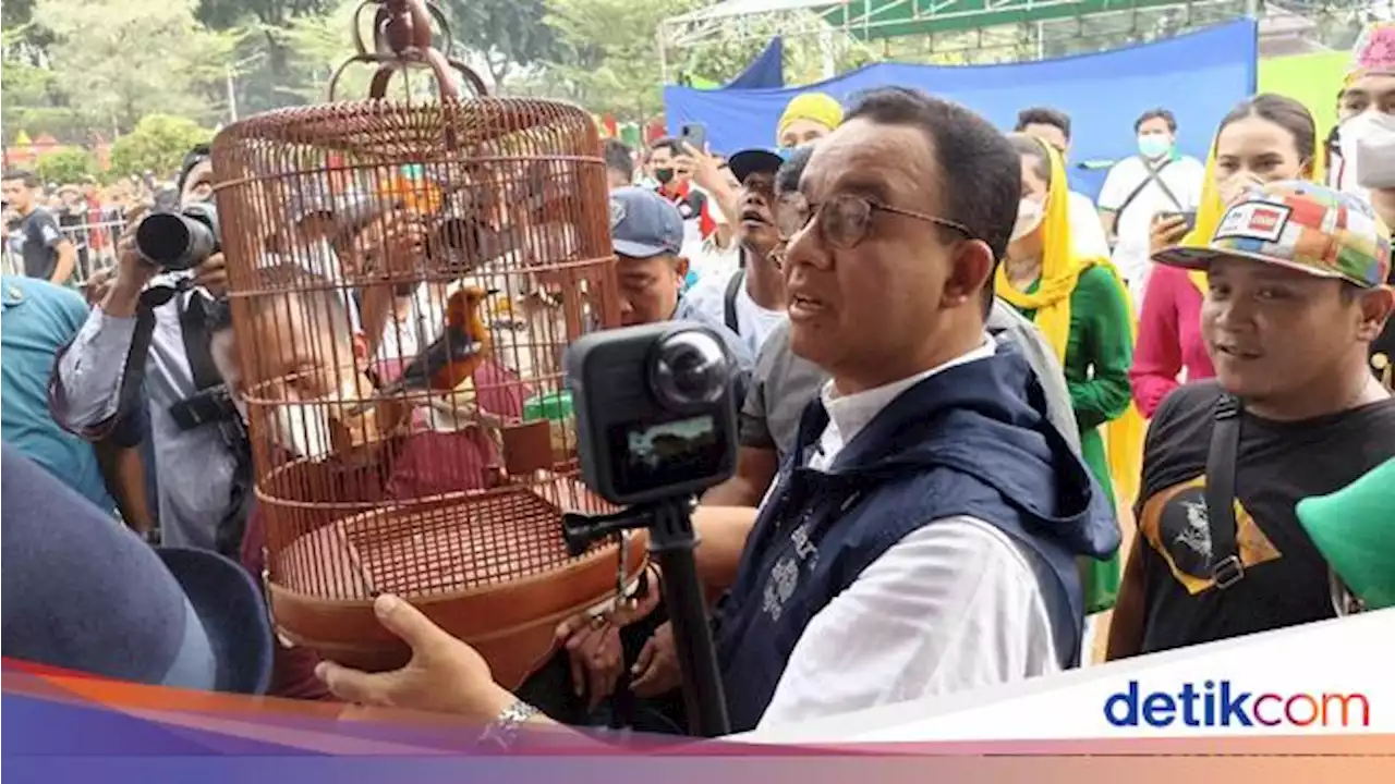 Anies Bawa Burung 'Anis Merah' Ikut Lomba Berkicau